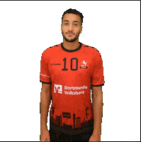 TVHoerde sports sport ball volleyball Sticker