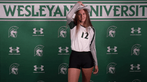 Iwuwvb24 GIF by iwusports