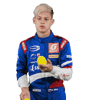 F4 Smal Sticker by Prema Team