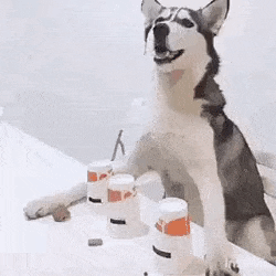 chusss giphyupload bullshit stop it cut the crap GIF