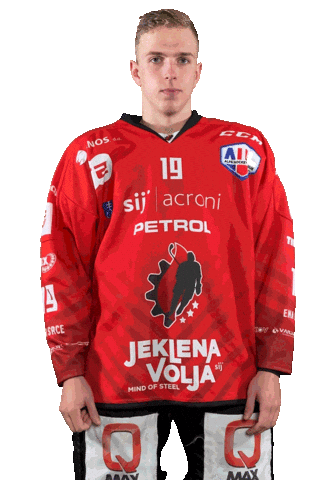 Hockey Hokej Sticker by HDD SIJ Acroni Jesenice