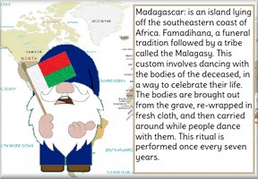 Madagascar GIF