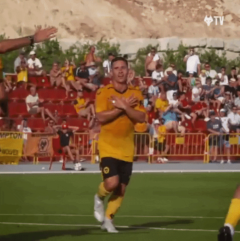 Premier League Football GIF by Wolves