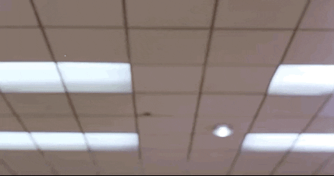 upressplay giphyupload jesus lebowski number1 GIF