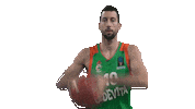 Rokoleniukic Sticker by kkcedevitaolimpija