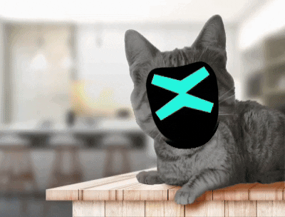 Grumpy Cat No GIF by MultiversX
