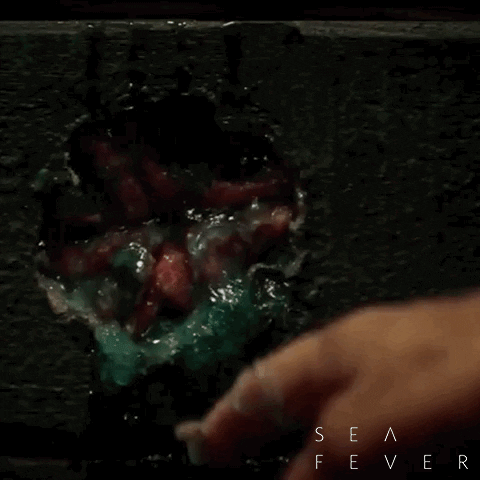 Creature Feature Movie GIF by Signature Entertainment