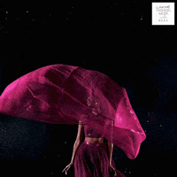 2020 GIF by Lakme Fashion Week