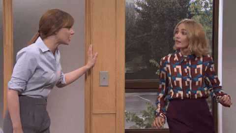 Snl GIF by Saturday Night Live