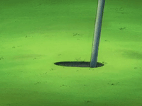 hey arnold nicksplat GIF