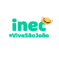 Festa Junina Junino Sticker by Instituto Nordeste Cidadania