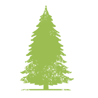 Tree Sticker by Bad Harzburg Tourismus