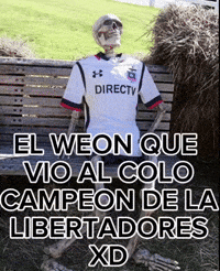 Colo Albo GIF
