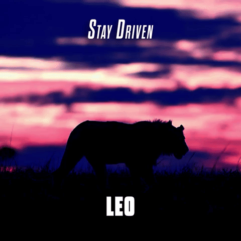 Stay Driven Leo