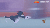 Tom And Jerry Chase GIF by HBO Max