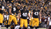 football GIF by University of Iowa Hawkeyes Athletics