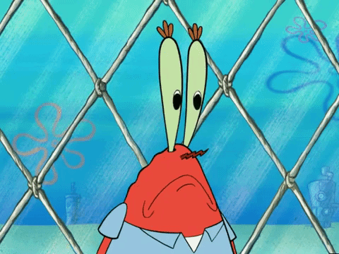 season 5 000 patties under the sea GIF by SpongeBob SquarePants