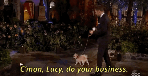 episode 1 abc GIF by The Bachelor