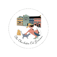 GimliCat cat cats charleston catlover Sticker