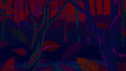 Design Colors GIF
