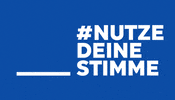 Europawahl GIF by European Parliament