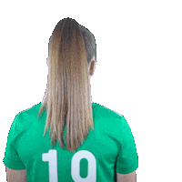 Turn Around Football Sticker by Northern Ireland