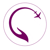 Fight Jet Sticker by JetMate - Online Flight Support