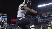 Happy National Football League GIF by Baltimore Ravens