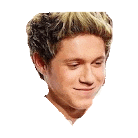 niall horan STICKER by imoji