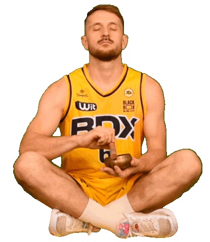 Basketball Basket Sticker by JSABMB