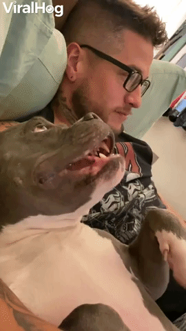 Needy Dog Whines for Kisses