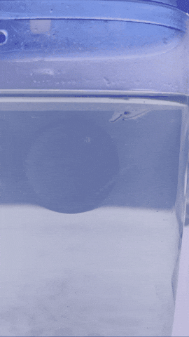JackLaBarge  GIF