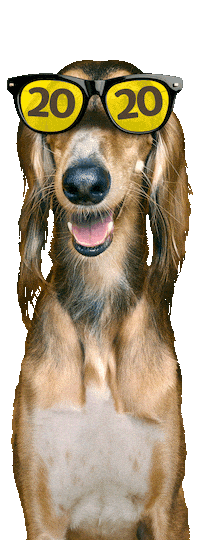 20Let Sticker by Super zoo