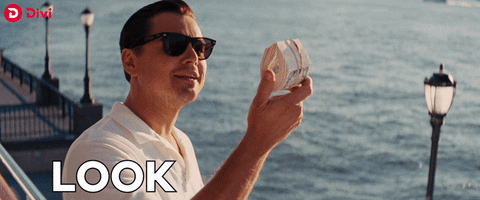 Wolf Of Wall Street Wow GIF by Divi Project