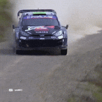 On My Way Chile GIF by FIA World Rally Championship