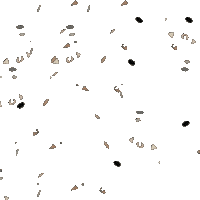 Bfawardsconfetti Sticker by BFAWARDS