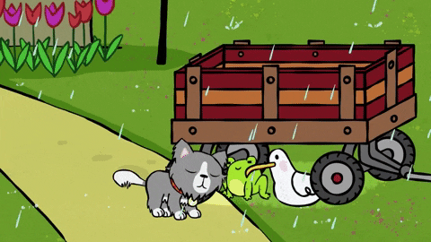 ScholasticEntertainment giphyupload cat kitty rain GIF