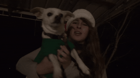 meanbeanprod giphyupload cute dog cat person that was unexpected GIF