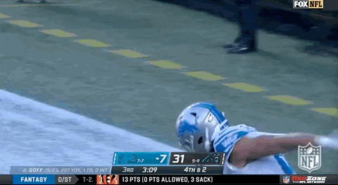 Detroit Lions Football GIF by NFL