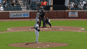 Mlb Regular Season Sport GIF by MLB