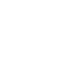 Space Orbit Sticker