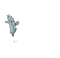 Flowers Circle Sticker