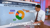 Voting Steve Kornacki GIF by MSNBC