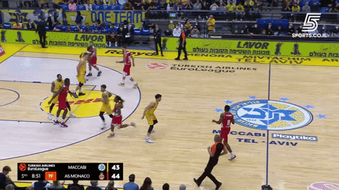 avivdrori giphyupload GIF