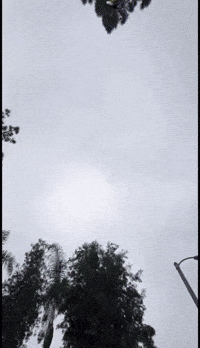 Amazon Delivery GIF