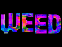 Art Glitch GIF
