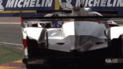 spa wec GIF