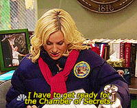 parks and rec GIF by REBEKAH
