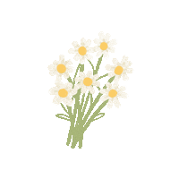 Flower Daisy Sticker by True To Skin