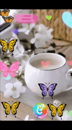 Nuevo Dia Gracias GIF by Murcianys LLC